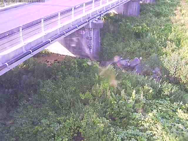 勝田川１2026/08/20 7:50:00