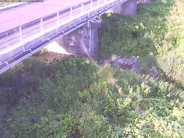 勝田川１2026/08/20 7:50:00