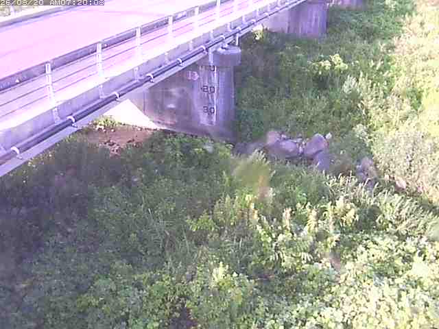 勝田川１2026/08/20 7:50:00