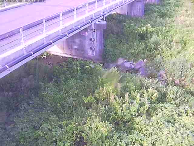 勝田川１2026/08/20 7:50:00