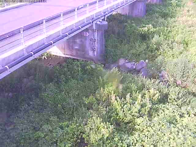 勝田川１2026/08/20 7:50:00