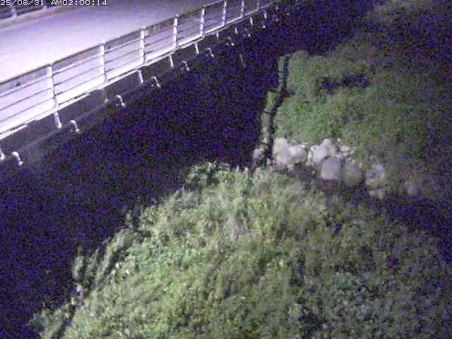 勝田川１2025/08/31 9:20:00