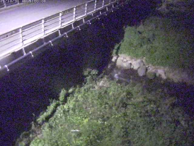 勝田川12025/11/01 0:00:00