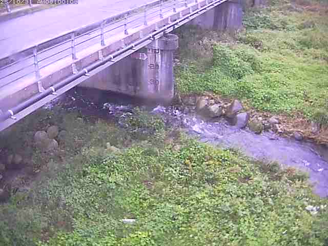 勝田川12025/11/01 0:00:00