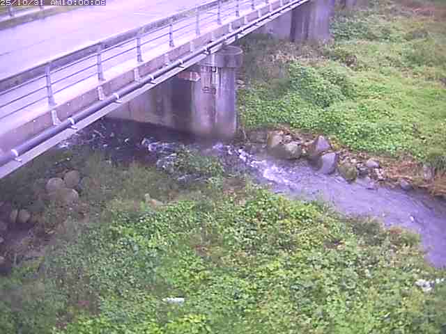 勝田川12025/11/01 0:00:00