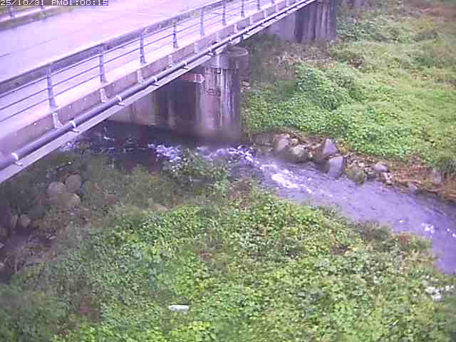 勝田川12025/11/01 0:00:00