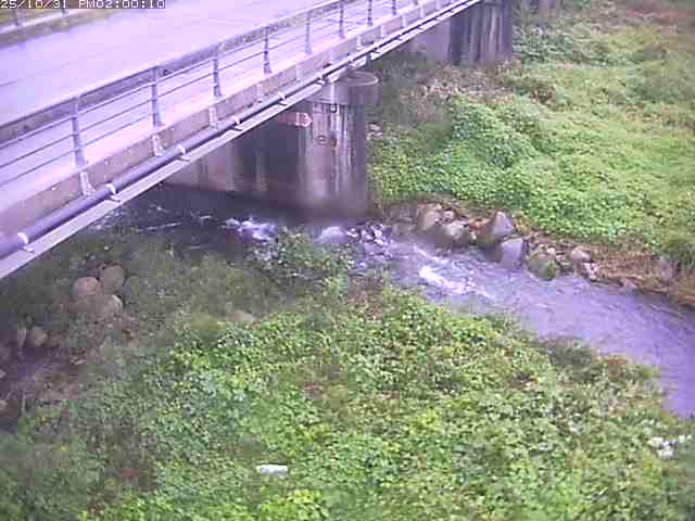 勝田川12025/11/01 0:00:00