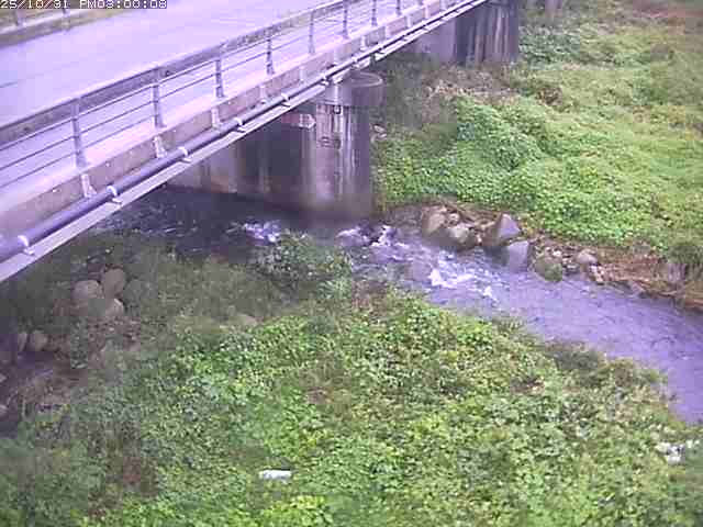 勝田川12025/11/01 0:00:00