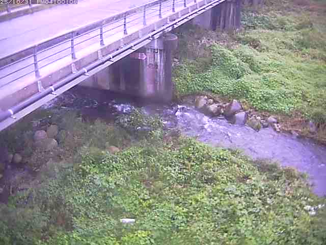 勝田川12025/11/01 0:00:00