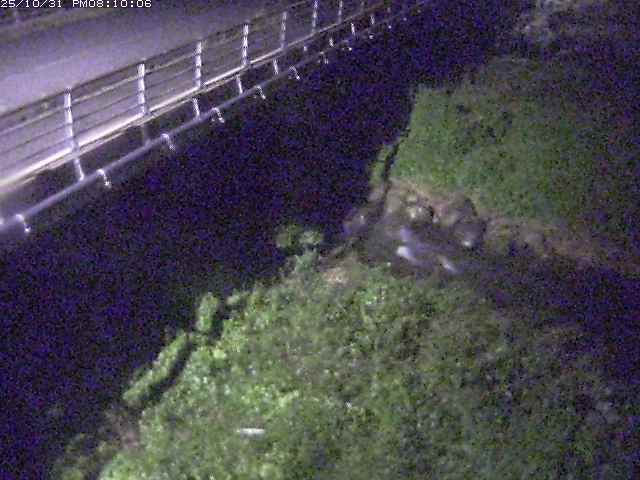 勝田川12025/11/01 0:00:00