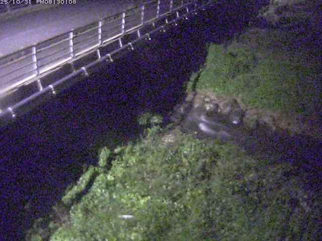 勝田川12025/11/01 0:00:00