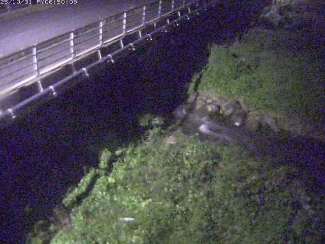 勝田川12025/11/01 0:00:00