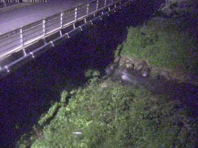 勝田川12025/11/01 0:00:00