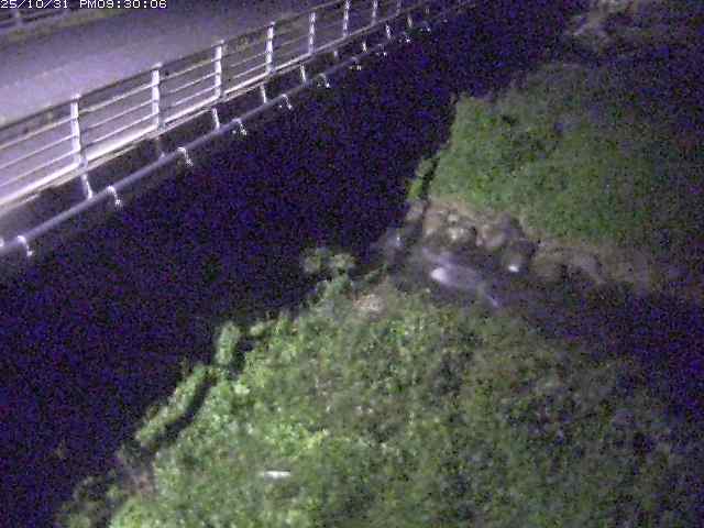 勝田川12025/11/01 0:00:00