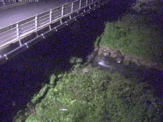 勝田川12025/11/01 0:00:00