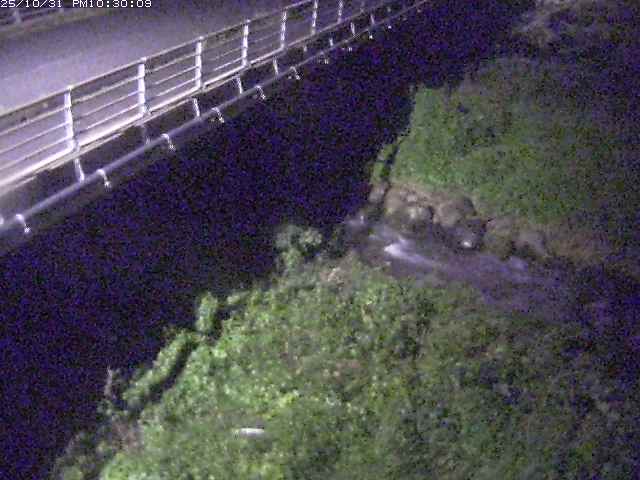 勝田川12025/11/01 0:00:00