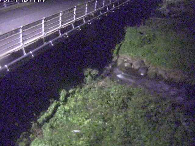 勝田川12025/11/01 0:00:00