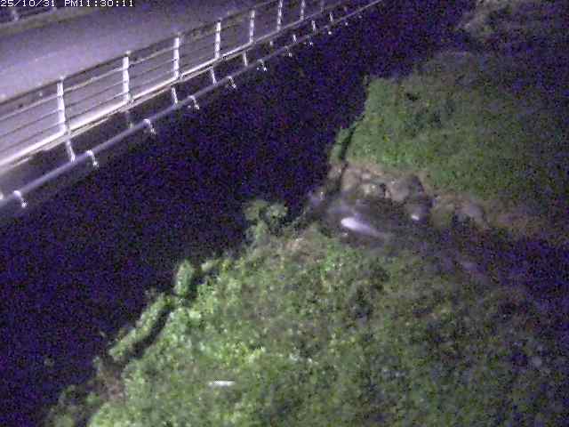 勝田川12025/11/01 0:00:00