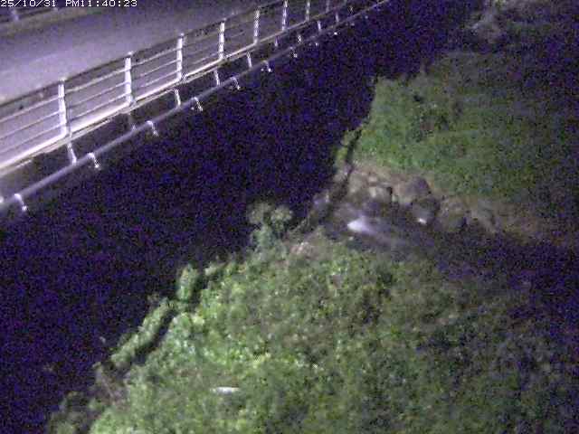 勝田川12025/11/01 0:00:00