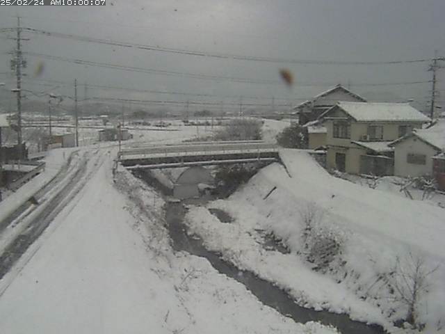 絹屋川１2026/02/25 2:30:00