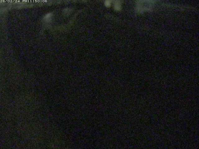 絹屋川１2026/02/25 2:30:00