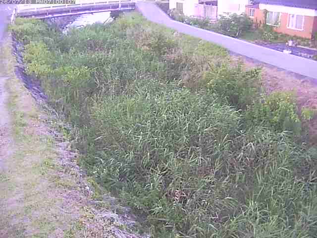 絹屋川１2026/07/14 15:20:00