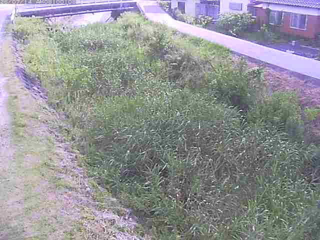 絹屋川１2026/07/14 15:20:00