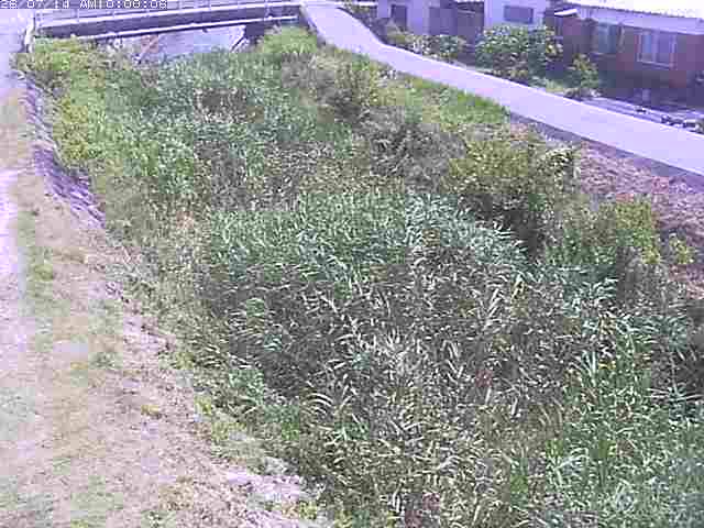 絹屋川１2026/07/14 15:20:00