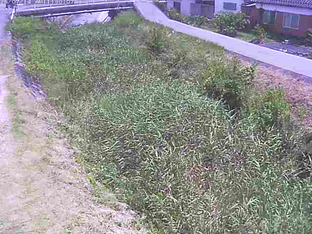 絹屋川１2026/07/14 15:20:00