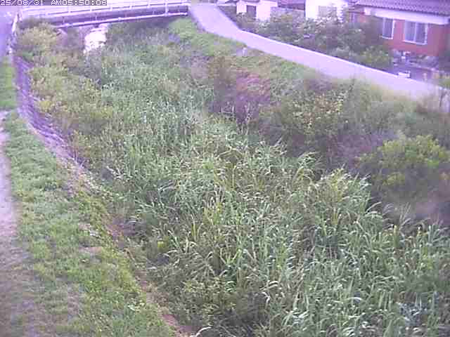絹屋川１2025/08/31 9:10:00