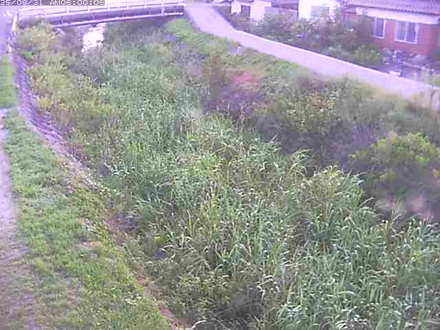 絹屋川１2025/08/31 9:10:00