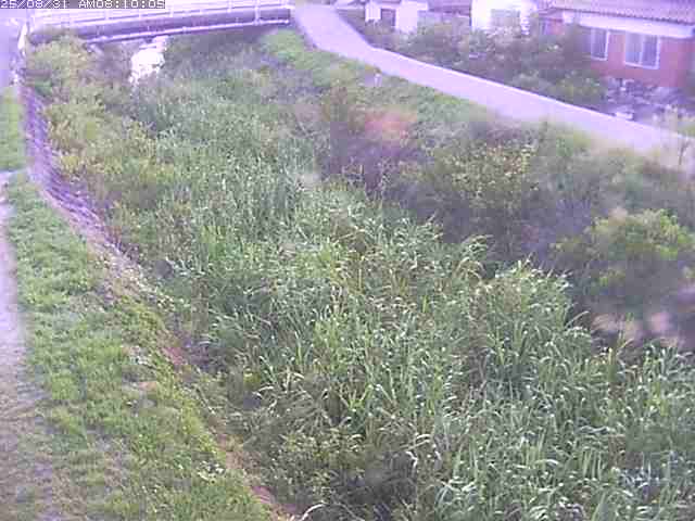 絹屋川１2025/08/31 9:10:00
