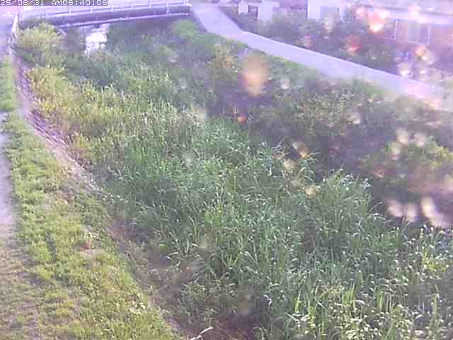 絹屋川１2025/08/31 9:10:00