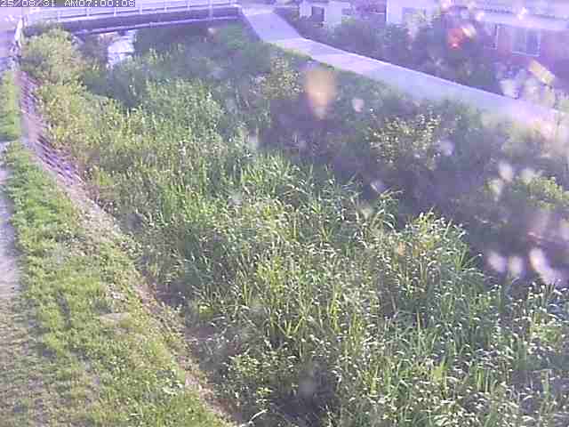 絹屋川１2025/08/31 9:10:00