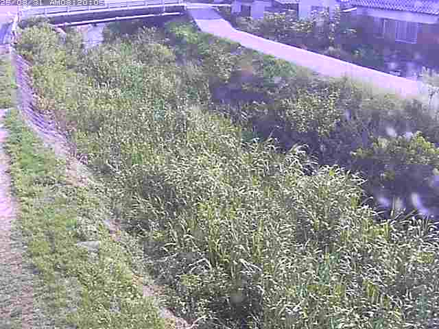 絹屋川１2025/08/31 9:10:00