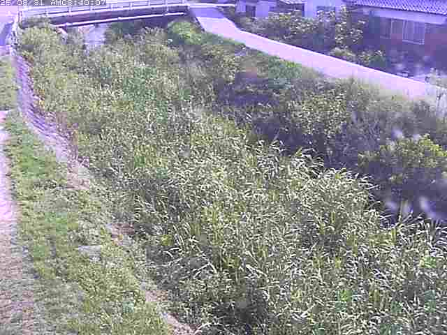 絹屋川１2025/08/31 9:10:00