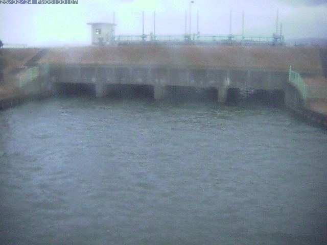 水貫川１2026/02/25 2:30:00