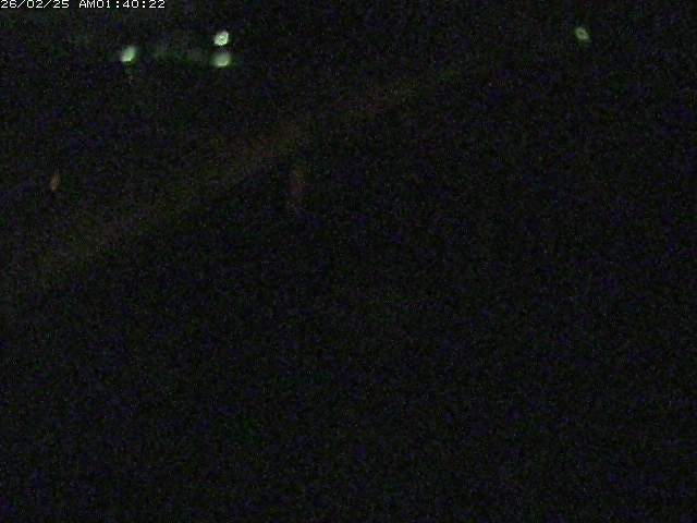 阿弥陀川12026/02/25 4:20:00