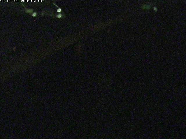 阿弥陀川12026/02/25 4:20:00