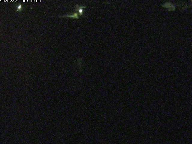 野上川２2026/02/25 4:20:00