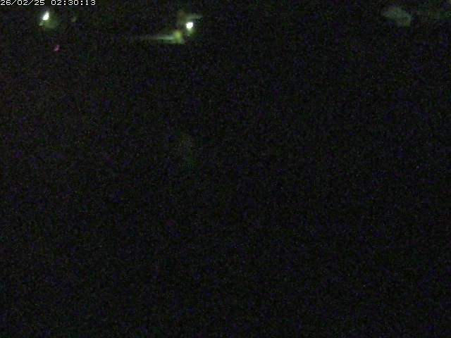 野上川２2026/02/25 4:20:00