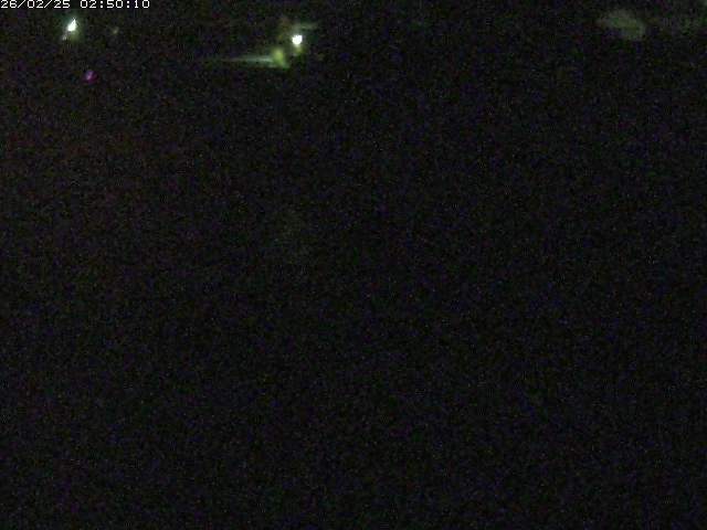 野上川２2026/02/25 4:20:00