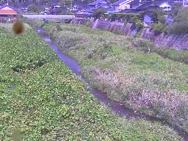 野上川２2025/08/31 9:10:00