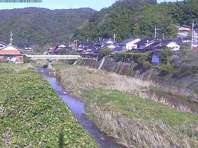 野上川22025/10/31 07:50