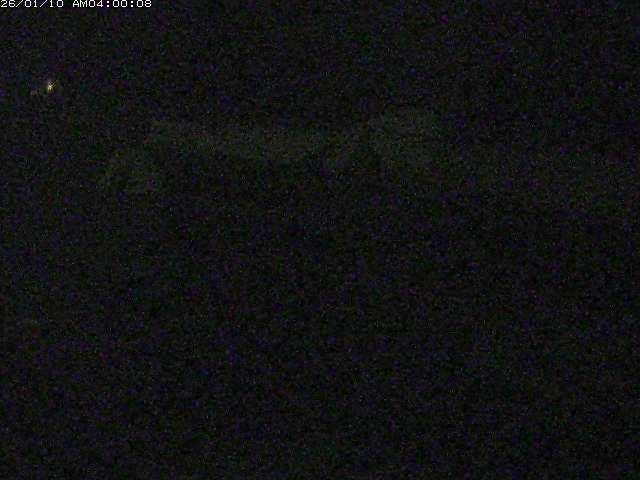 日野川１２2026/01/10 19:00:00