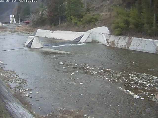 日野川１２2026/01/10 19:00:00