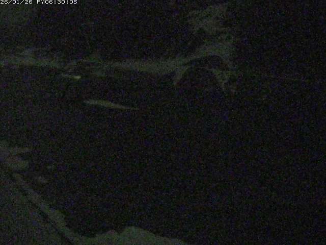 日野川１２2026/01/26 20:20:00