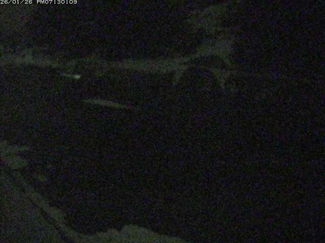 日野川１２2026/01/26 20:20:00