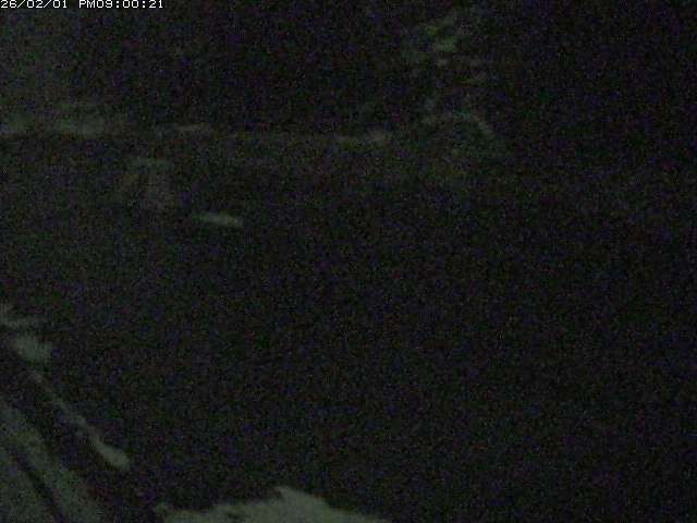 日野川１２2026/02/02 20:30:00