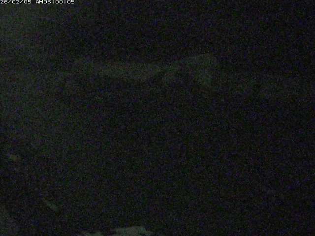 日野川１２2026/02/05 22:00:00